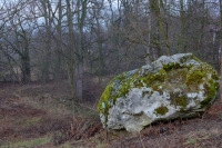 „Diabelski kamień”